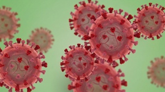 Pandemi Senyap 2026: Mengapa Anak Indonesia Kembali Diserang Campak?