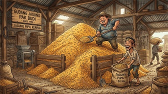 Stok Jagung Pipil 4.140 Ton di Sumut, Cukup untuk Penuhi Kebutuhan Peternak Ayam