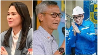 Dari Elit BUMN ke Viral di Tikungan Maut, Siapa 3 Komisaris Pusri? Ada Arteria Dahlan