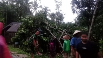 Angin Puting Beliung Terjang Agam, Dua Rumah Rusak dan Warung Tertimpa Pohon