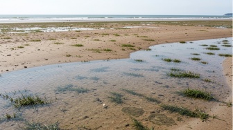 Lebih dari 20% Wilayah Pesisir Alami Perubahan Air Tanah, Ancaman Salinisasi Menguat