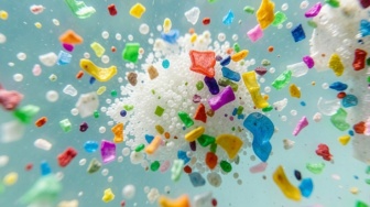 Mikroplastik Ancam Dasar Laut, Cacing Bambu Jadi Korban Pertama