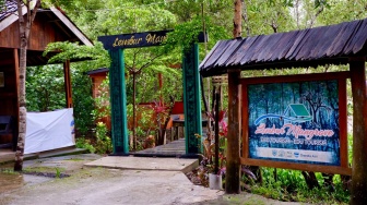 Cerita Edu-Ekowisata Lembur Mangrove Patikang, Saat Warga Jaga Alam Sekaligus Buka Peluang Ekonomi