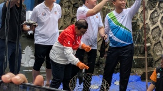 Pramono Turun ke Kali, Ikut Angkat Ikan Sapu-Sapu yang Kuasai Perairan Jakarta