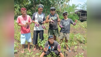 Dari Jalanan ke Sawah, Kisah Petani Punk Gunungkidul yang Kini Pasok Dapur MBG