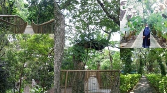 Taman Hutan Joyoboyo Kediri: Tempat Tenang saat Keramaian Terasa Melelahkan