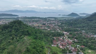 Cerita Inspiratif: Desa Hanura Lampung Tumbuh Lewat Sinergi Alam dan Warga