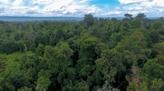 Di Tengah Tekanan Industri, Bisakah Gerakan Lintas Iman Jadi Alternatif Jaga Hutan Indonesia?