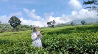 Kebun Teh Wonosari: Sejuknya Perkebunan di Lereng Arjuno Malang