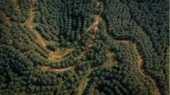 Di Balik Ambisi B50 Dikritik: Diklaim Hemat Energi, Tapi Bebani Lingkungan dan Rakyat