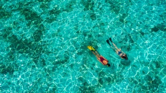 Tak Sekadar Wisata, Bagaimana Edukasi dan Restorasi Sains Menjaga Terumbu Karang?