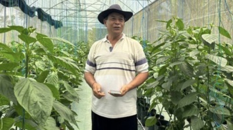 Kisah Pengusaha Sulap Lahan Terbatas Jadi Kebun Paprika Premium dengan Dukungan KUR BRI