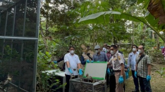 Kicauan Kebebasan di Tahura Wan Abdul Rachman: 942 Ekor Burung Kembali ke Habitatnya