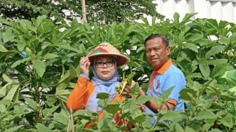 Pemkot Jaktim Perkuat Pembinaan Melon Inthanon Bersama BRI