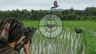 Wariskan Kicauan Burung: Mengapa Berburu dengan Senapan Angin Merusak Desa?