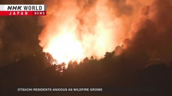 Kebakaran Hutan di Iwate Meluas, 3.000 Warga Otsuchi Dievakuasi