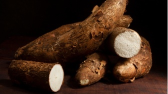 Update Harga Ubi Kayu, Jagung, dan Tebu Terbaru April 2026, sebelum Bioetanol E20 Digenjot