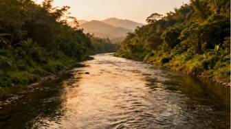 Studi Ungkap Sungai Dunia Lepaskan Emisi Tambahan 1,5 Miliar Karbon Dioksida: Apa Dampaknya?