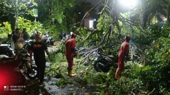 Hujan Deras Disertai Angin Puting Beliung Terjang Sleman, Atap Rumah Beterbangan dan Pohon Tumbang