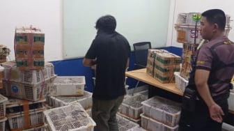 Penyelundupan 1.532 Burung dalam Kardus Bekas Digagalkan di Tol Bakter