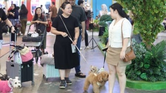 Ada Petting Zoon dan Safari Garden di PetFest Indonesia 2026