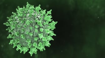 Bisakah Manusia Bertahan Hidup dari Hantavirus? Ini Gejala Fatalnya