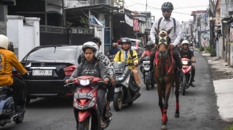 Unik! ASN Tasikmalaya Naik Kuda ke Kantor untuk Hemat BBM
