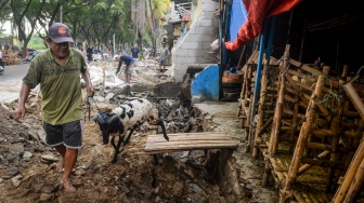 Pedagang menuntun kambing jualannya ke dalam kandang saat pembongkaran bangunan liar di Pasar Kemis, Kabupaten Tangerang, Banten, Kamis (7/5/2026). [ANTARA FOTO/Putra M. Akbar/foc]
