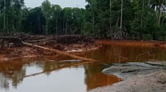 Kali Kukuba di Halmahera Timur Diduga Tercemar Limbah, Ini Penyebabnya