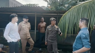 Viral Kandang Babi di Area Gudang Farmasi Makassar, Begini Pengakuan Pemilik