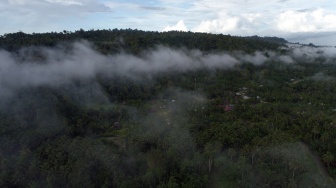 Permenhut Perdagangan Karbon Dikritik, Pemerintah Diminta Fokus Hentikan Deforestasi