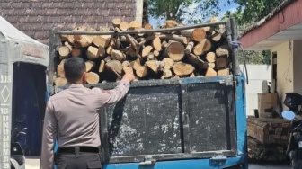 Kakek 60 Tahun di Malang Terjaring Angkut Kayu Jati Ilegal