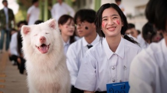 Gohan Buat Haru Penonton, Ini 5 Rekomendasi Film untuk Libur Panjang