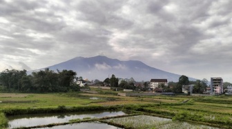 Gunung Marapi Erupsi Lagi, Semburkan Abu 500 Meter: PVMBG Peringatkan Ancaman Lahar Dingin Mengintai