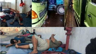 Puluhan Sopir Logistik Terjebak di Tengah Laut Lampung Selatan Tanpa Kepastian