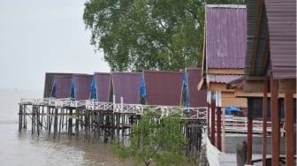 Wisata Mangrove Pantai Kelapa, Eksotisme Laut Lepas dan Satwa Jinak Tungkal