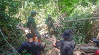 Dua Warga Jadi Tersangka Pembalakan Liar di TWA Mangolo