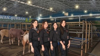 Wangi Parfum Beradu Aroma Kandang: Kisah Nayla, Eks SPG Mobil Mewah yang Kini Jadi 'Pramugari' Sapi