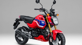 Honda Grom 2026 Meluncur dengan Gaya Balap Namun Minim Pembaruan Teknis pada Sektor Mesin