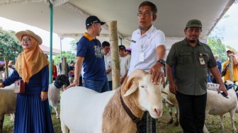 Pemprov Jateng Pastikan Kesehatan Hewan Kurban Jelang Perayaan Iduladha 2026