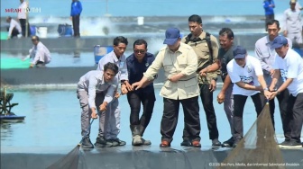 Prabowo Ikut Tarik Jaring Udang di Tambak Kebumen, Kagum Panen Capai 40 Ton per Hektare