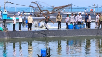 Dampingi Prabowo Panen Raya, Ahmad Luthfi Sebut Budidaya Udang Memiliki Prospek Bagus
