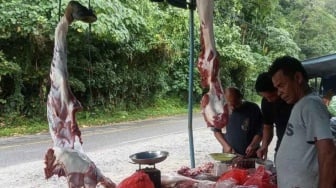 Warga Aceh Selatan Tak Perlu Khawatir, Persediaan Daging Meugang-Hewan Kurban Idul Adha Mencukupi
