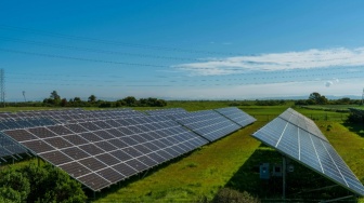 Studi Ungkap Cara Kurangi Konflik Lahan dalam Pengembangan Energi Surya