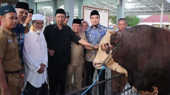 Sapi Kurban Presiden RI Berbobot 1,1 Ton Disalurkan untuk Warga Cilegon