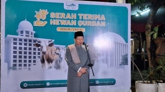 Nasaruddin Umar Terima Sapi Kurban dari Presiden dan Wapres