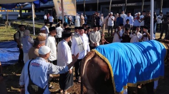 Rudy Susmanto Serahkan Sapi Kurban Bantuan Presiden ke Masjid Raya Nurul Wathon