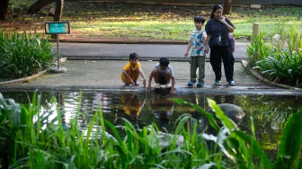 Sejumlah warga saat berwisata di Tebet Eco Park, Tebet, Jakarta, Kamis (28/5/2026). [Suara.com/Alfian Winanto]