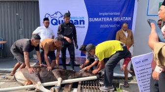 BRI Region 4 Palembang Tebar Berkah Idul Adha, 45 Hewan Kurban Disalurkan ke Tiga Provinsi