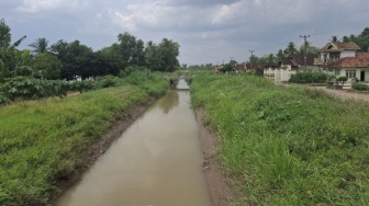 Proyek Rehabilitasi Irigasi di Lampung Mulai 2026